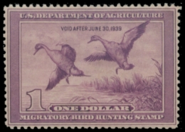 Scan of RW5 1938 Duck Stamp 