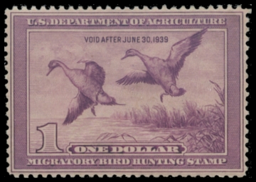 Scan of RW5 1938 Duck Stamp 