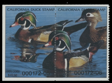 Scan of 1999 California Duck Stamp