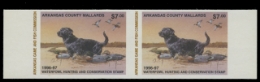 Scan of 1996 Arkansas Duck Stamp