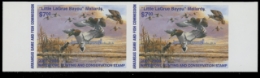 Scan of 2007 Arkansas Duck Stamp