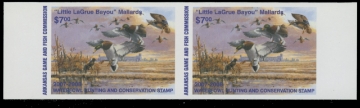 Scan of 2007 Arkansas Duck Stamp