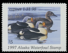 Scan of 1997 Alaska Duck Stamp