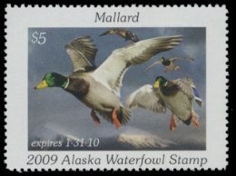 Scan of 2009 Alaska Duck Stamp