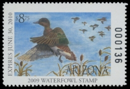 Scan of 2009 Arizona Junior Duck Stamp