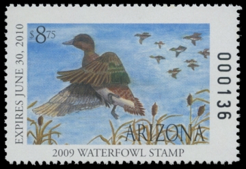 Scan of 2009 Arizona Junior Duck Stamp