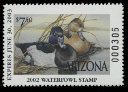 Scan of 2002 Arizona Duck Stamp