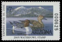 Scan of 2005 Arizona Duck Stamp