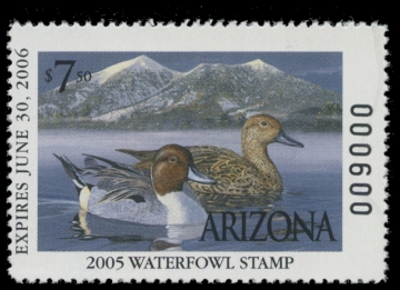 Scan of 2005 Arizona Duck Stamp