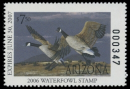 Scan of 2006 Arizona Duck Stamp