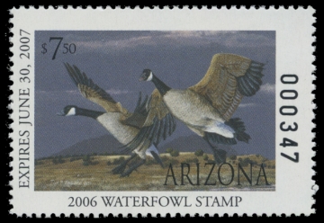 Scan of 2006 Arizona Duck Stamp