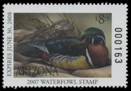Scan of 2007 Arizona Duck Stamp