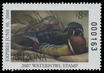 Scan of 2007 Arizona Duck Stamp