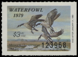 Scan of 1979 Missouri Duck Stamp - First of State