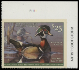 Scan of RW86 2019 Duck Stamp