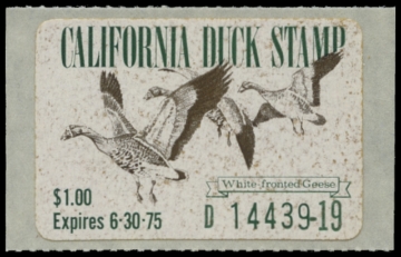 Scan of 1974 California Duck Stamp