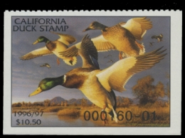 Scan of 1996 California Duck Stamp