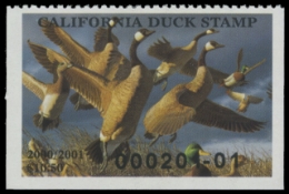 Scan of 2000 California Duck Stamp