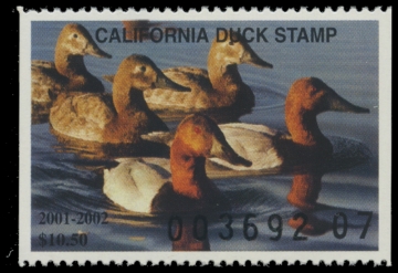 Scan of 2001 California Duck Stamp