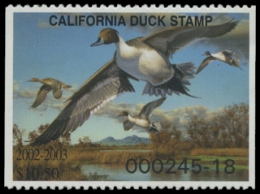 Scan of 2002 California Duck Stamp