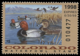 Scan of 1998 Colorado Duck Stamp