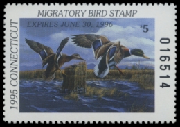 Scan of 1995 Connecticut Duck Stamp