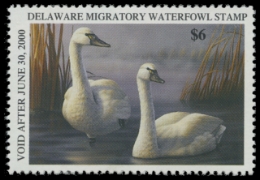 Scan of 1999 Delaware Duck Stamp