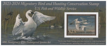 Scan of RW90A 2023 Duck Stamp 