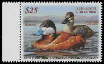 Scan of RW82 2015 Duck Stamp 
