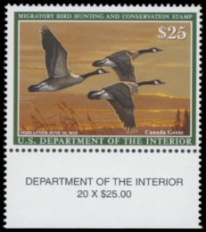 Scan of RW84 2017 Duck Stamp 
