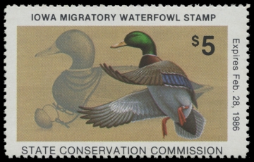 Scan of 1985 Iowa Duck Stamp