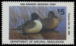Scan of 1988 Iowa Duck Stamp