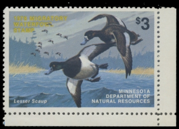 Scan of 1978 Minnesota Duck Stamp