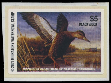 Scan of 2001 Minnesota Duck Stamp