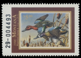 Scan of 1990 Montana Duck Stamp