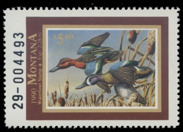Scan of 1990 Montana Duck Stamp