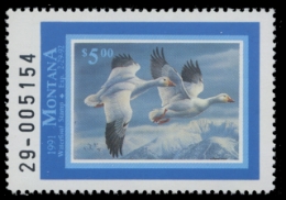 Scan of 1991 Montana Duck Stamp