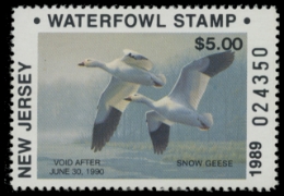 Scan of 1989 New Jersey Duck Stamp