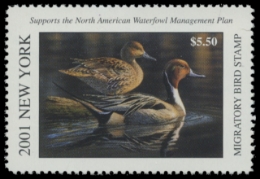 Scan of 2001 New York Duck Stamp