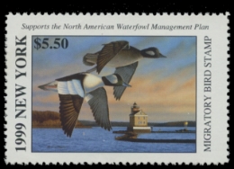 Scan of 1999 New York Duck Stamp