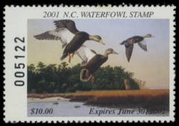 Scan of 2001 North Carolina Duck Stamp