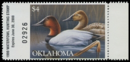 Scan of 1999 Oklahoma Duck Stamp