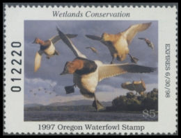 Scan of 1997 Oregon Duck Stamp