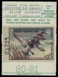 Scan of 1981 Tennessee Duck Stamp
