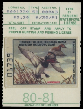 Scan of 1981 Tennessee Duck Stamp