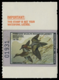 Scan of 1989 Tennessee Duck Stamp