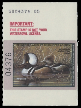Scan of 1991 Tennessee Duck Stamp