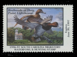 Scan of 1996 South Carolina Duck Stamp