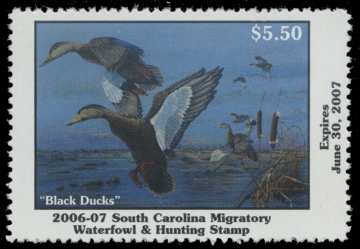 Scan of 2006 South Carolina Duck Stamp