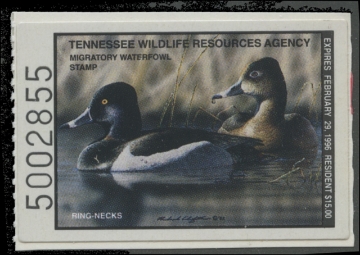 Scan of 1995 Tennessee Duck Stamp